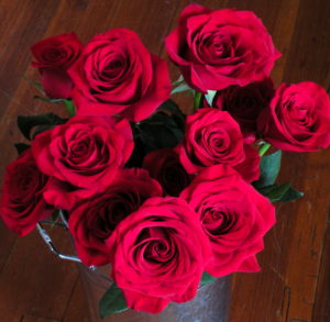 Red Roses